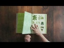 youtube - [Video]