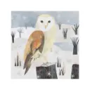 libro-origami-de-la-naturaleza-clover-robin-10.webp