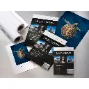 166.webp