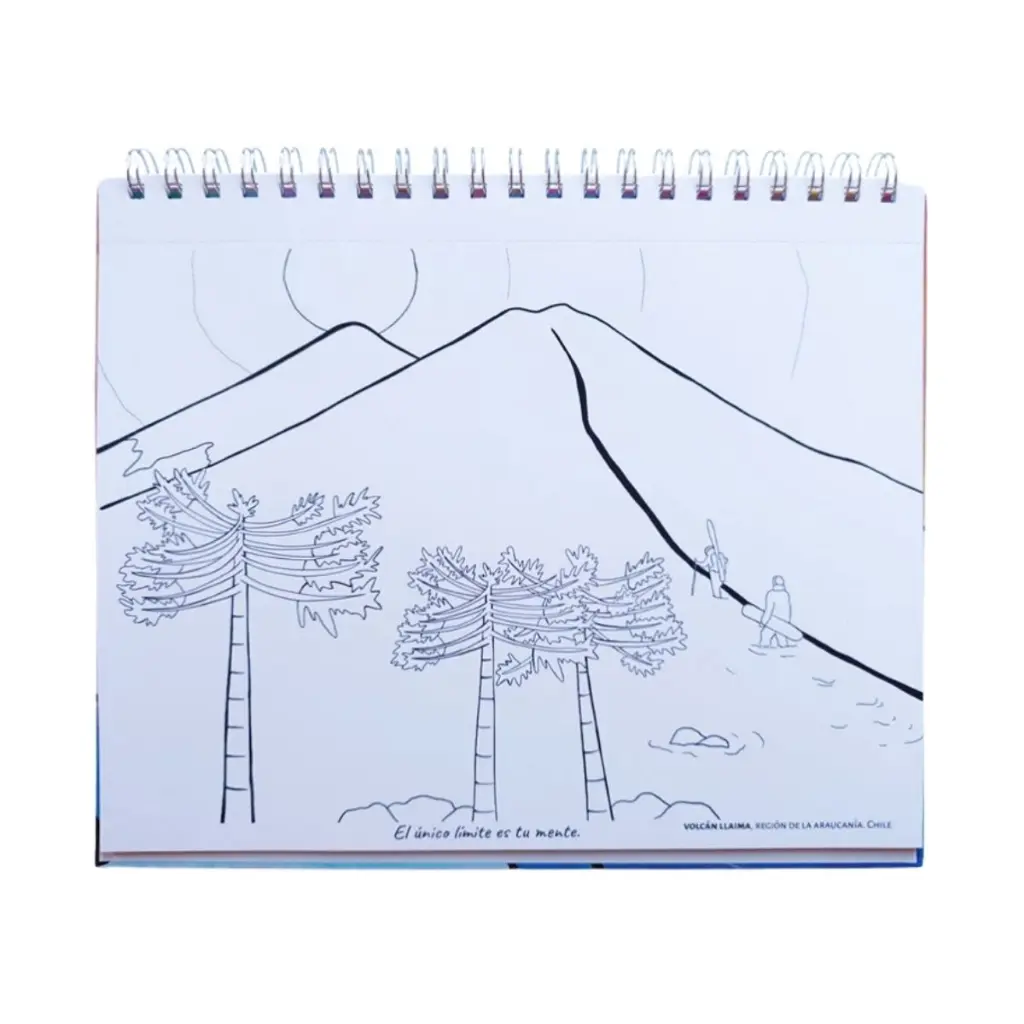 67.webp