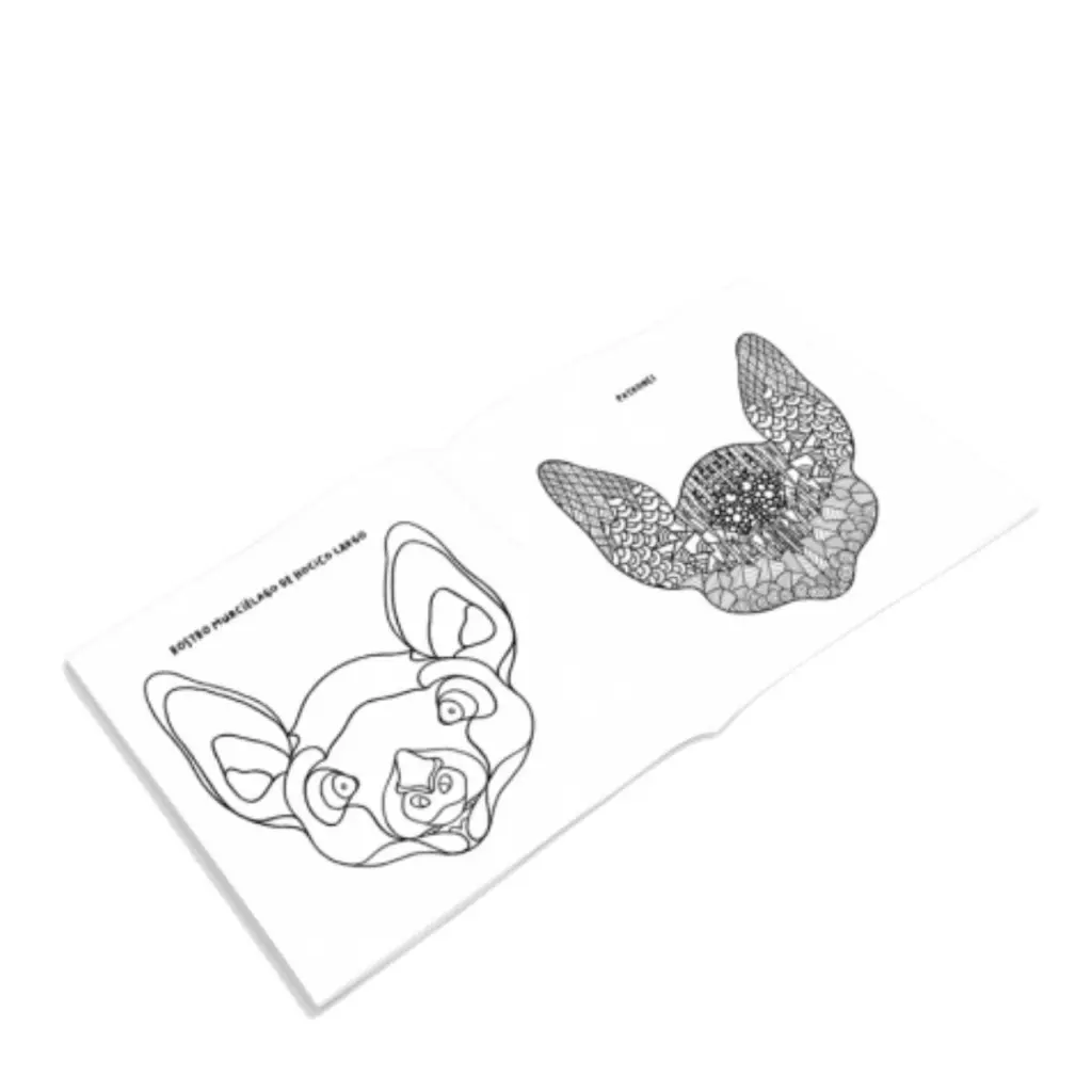X (5).webp