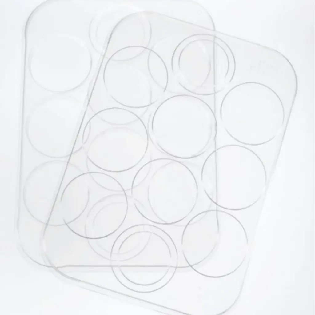 panpastel (2).webp