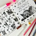 libro-perro-y-gatos-cata-fuenzalida-4.webp