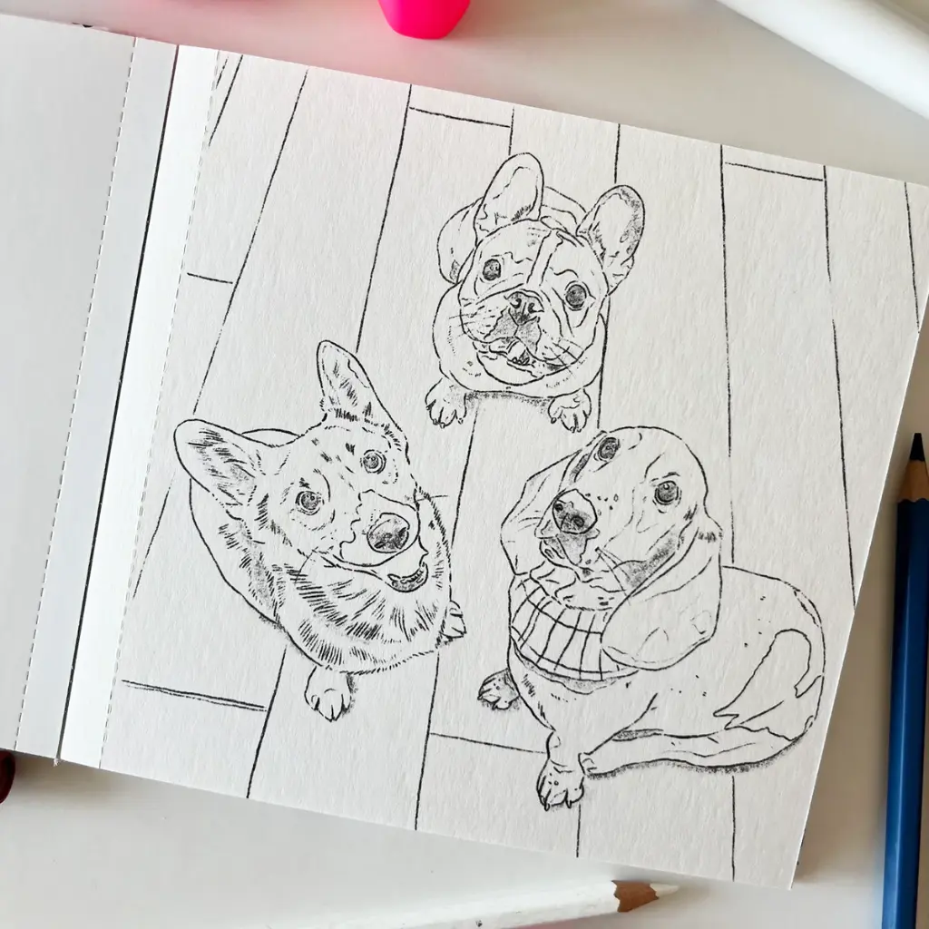 libro-perro-y-gatos-cata-fuenzalida-2.webp