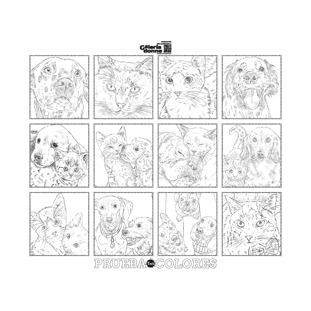 libro-perro-y-gatos-cata-fuenzalida-7.webp