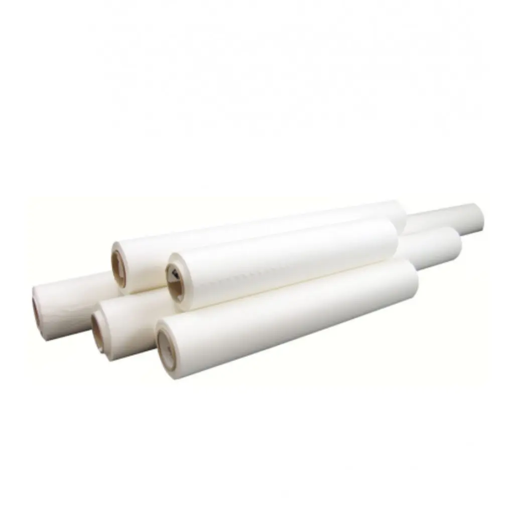 Canario Blanco (4).webp