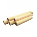 Canario (5).webp