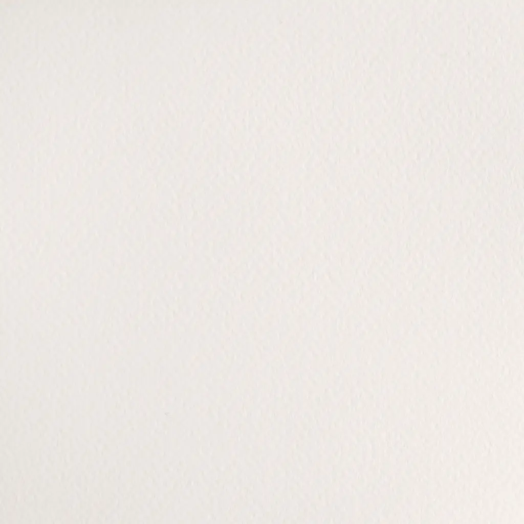 6972603801107-W&N COTMAN [SWATCH] CHINESE WHITE (For Office Print).webp