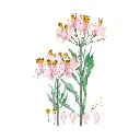 [571555] Libro Plantas y Árboles de los Bosques de Chile (4).webp