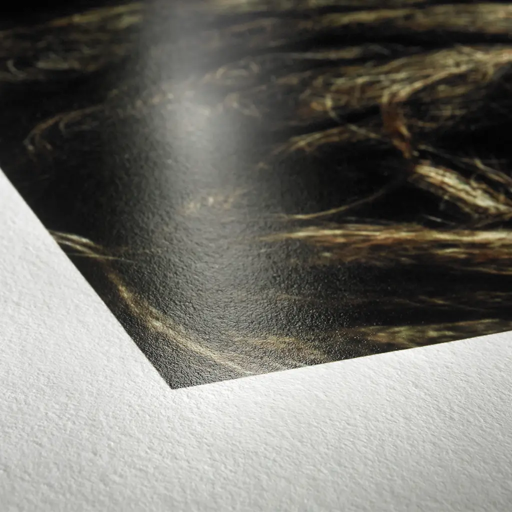 photo-rag-bayta-315gr-3.webp