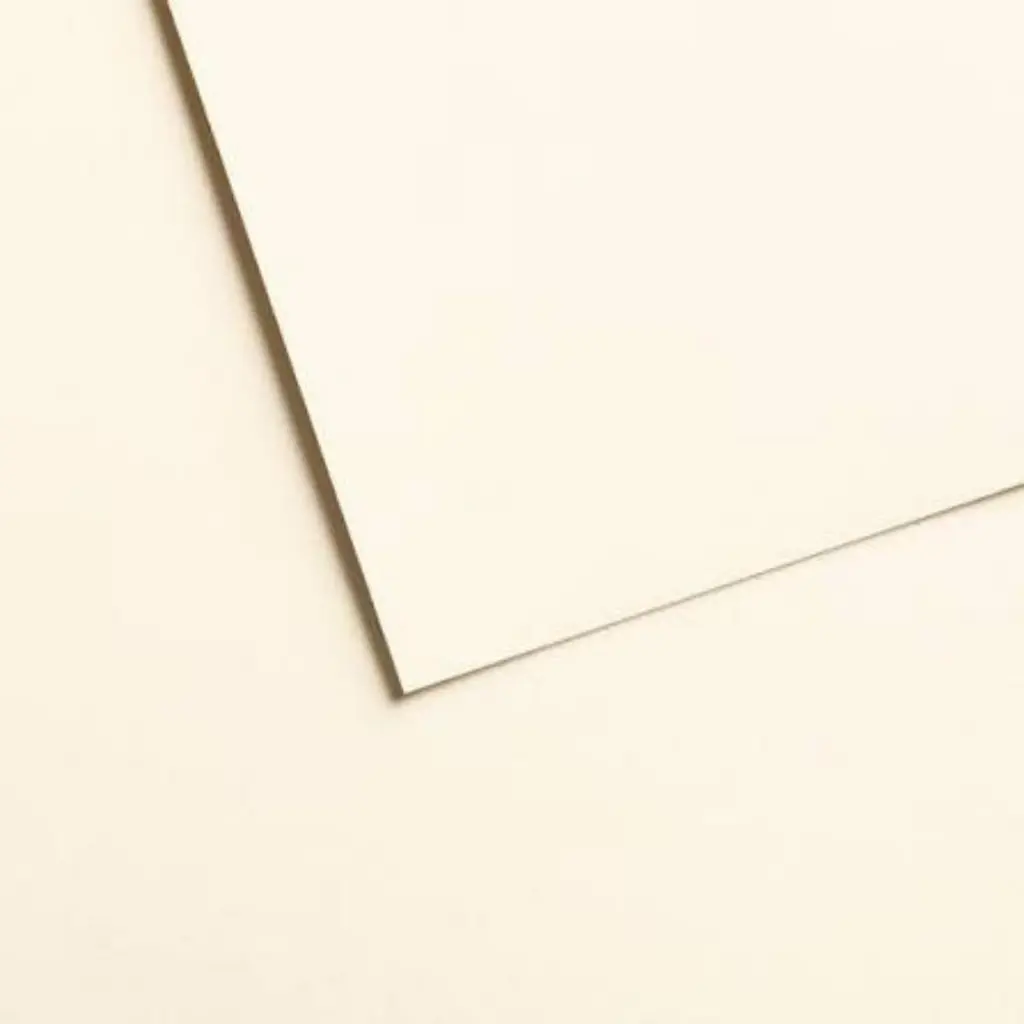 C503508003-2.webp