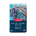 barras-de-tinta-solubles-al-agua-derwent-inktense-set-12.jpg-2.webp