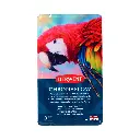 2305856 Derwent Chromaflow 12 Tin Front.webp