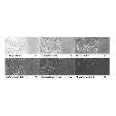 barras-grafito-derwent-xl-set-6--4.webp