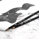 lapiz-grafito-oscuro-derwent-onyx-3.webp