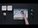 youtube - [Video]