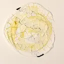 pasta-efecto-de-craquelado-golden.jpg.webp