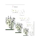 Block Hah Bamboo Sketch.webp