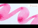 youtube - [Video]