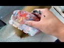 youtube - [Video]