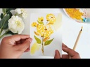youtube - [Video]