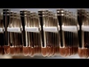 youtube - [Video]