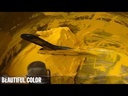 youtube - [Video]