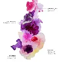 mediums para acuarela winsor&newton.webp