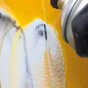 spray-acetona-limpiador-caps-montana-400ml-3.webp