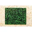 Montna_CRACKLE_MG_8601.webp