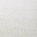 301513-2.webp