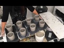 youtube - [Video]