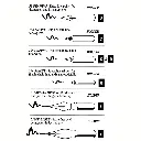 2965-2.webp