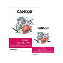 Block Dibujo Manga Canson Graduate 200gr 30 Hojas