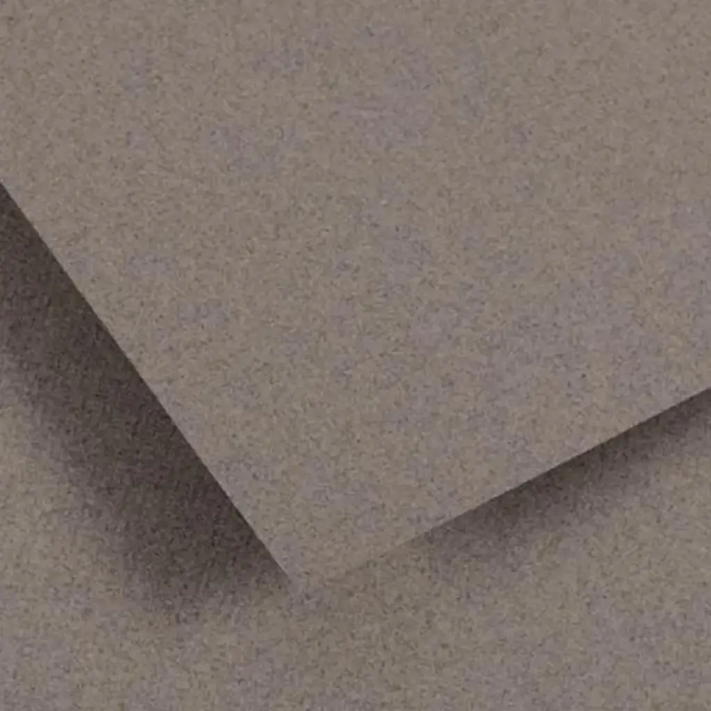 Resma Papel Dibujo Canson Ingres Vidalon Gris Chine 100gr 50x70 cm 25 Pliegos