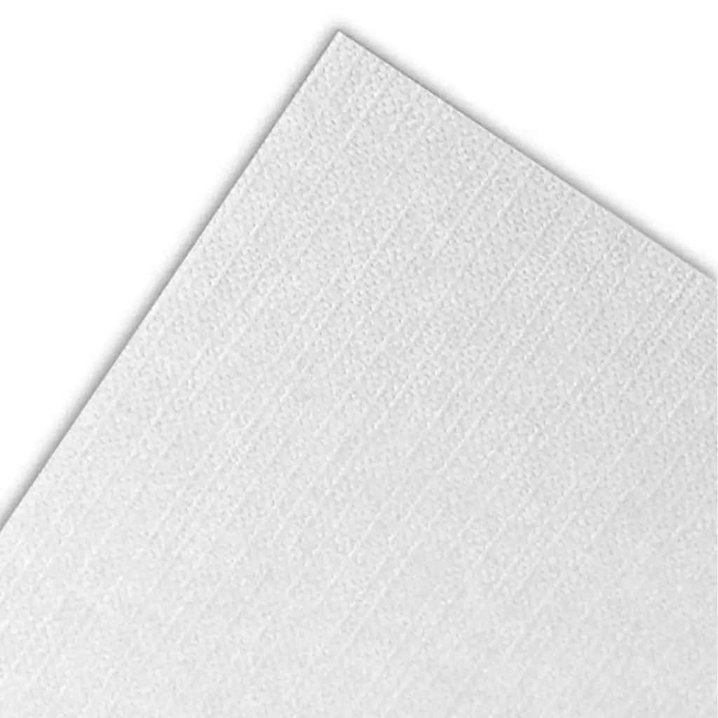 Resma Cartón Contracolado Canson Concerto 1.5mm 80x120cm 5 Pliegos 