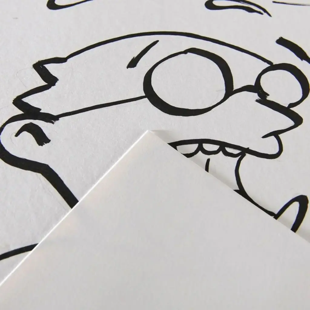 Papel Ilustración Canson 250gr 50x65 cm