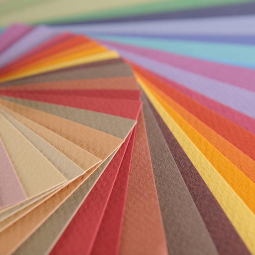 Resma Papel Canson Mi-Teintes 160gr 50x65cm 10 Pliegos