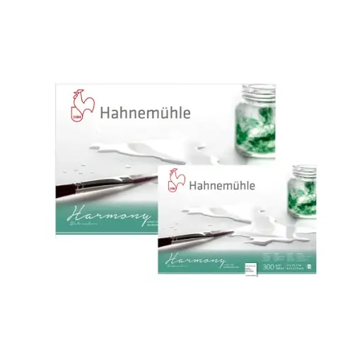 Block Acuarela Hahnemuhle Harmony 300gr Grano Satinado 12 Hojas
