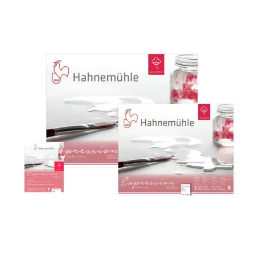 Block Acuarela Hahnemuhle Expression Grano Fino 300gr 20 Hojas