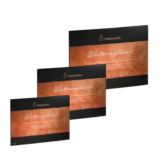 Block Acuarela Hahnemuhle The Collection 300gr Grano Grueso 10 Hojas 