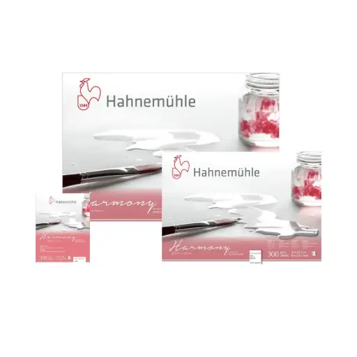 Block Acuarela Hahnemuhle Harmony 300gr Grano Fino 12 Hojas