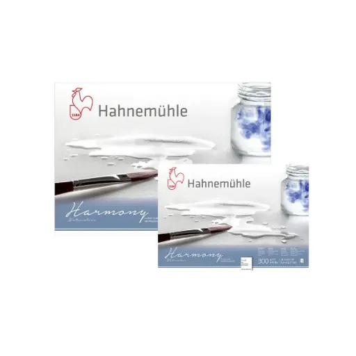 Block Acuarela Hahnemuhle Harmony 300gr Grano Grueso 12 Hojas
